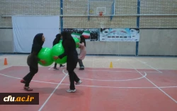 جشنواره استانی ورزش های همگانی و بازی های بومی و محلی در پردیس امام سجاد استان خراسان جنوبی برگزار شد 3