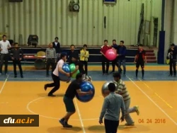 جشنواره استانی ورزش های همگانی و بازی های بومی و محلی در استان کردستان برگزار شد 2