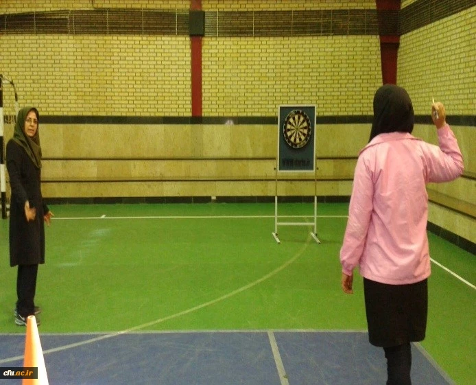 جشنواره استانی ورزش های همگانی و بازی های بومی و محلی در استان کردستان برگزار شد 3