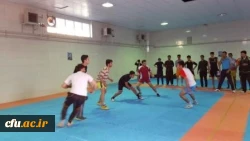 جشنواره استانی ورزش های همگانی و بازی های بومی و محلی در استان کردستان برگزار شد 4