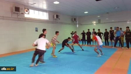 جشنواره استانی ورزش های همگانی و بازی های بومی و محلی در استان کردستان برگزار شد 4