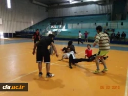 جشنواره استانی ورزش های همگانی و بازی های بومی و محلی در استان کردستان برگزار شد 6