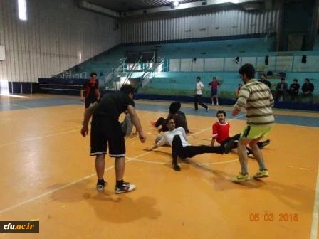جشنواره استانی ورزش های همگانی و بازی های بومی و محلی در استان کردستان برگزار شد 6