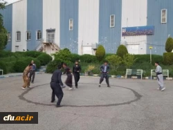 جشنواره استانی ورزش های همگانی و بازی های بومی و محلی در استان کردستان برگزار شد 7