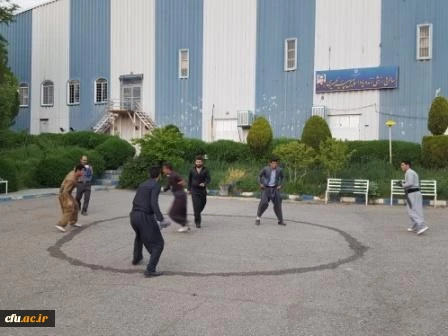 جشنواره استانی ورزش های همگانی و بازی های بومی و محلی در استان کردستان برگزار شد 7