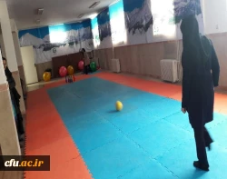 جشنواره استانی ورزش های همگانی و بازی های بومی و محلی در استان البرز برگزار شد 4