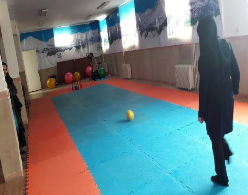 جشنواره استانی ورزش های همگانی و بازی های بومی و محلی در استان البرز برگزار شد 4