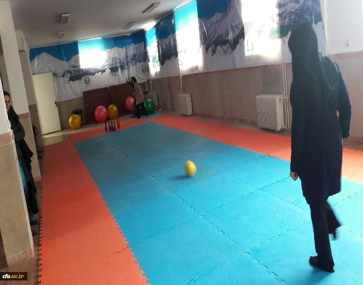 جشنواره استانی ورزش های همگانی و بازی های بومی و محلی در استان البرز برگزار شد 4