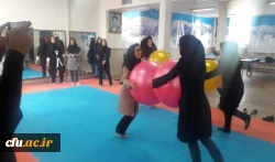 جشنواره استانی ورزش های همگانی و بازی های بومی و محلی در استان البرز برگزار شد 5