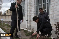 اجرای طرح شاداب سازی پردیس اردبیل