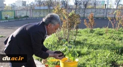 اجرای طرح شاداب سازی پردیس اردبیل