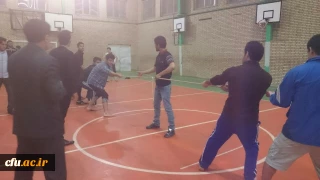 جشنواره استانی ورزش های همگانی و بازی های بومی و محلی در استان اردبیل برگزار شد