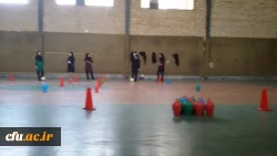 جشنواره استانی ورزش های همگانی و بازی های بومی و محلی در استان قزوین برگزار شد 6