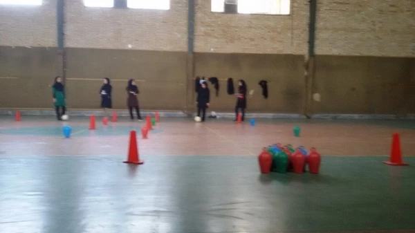 جشنواره استانی ورزش های همگانی و بازی های بومی و محلی در استان قزوین برگزار شد 6