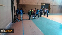 جشنواره استانی ورزش های همگانی و بازی های بومی و محلی در استان قزوین برگزار شد 9