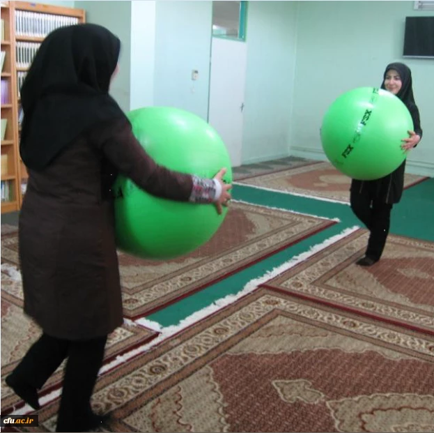 جشنواره استانی ورزش های همگانی و بازی های بومی و محلی درپردیس شهید باهنر استان چهار محال و بختیاری برگزار شد 3