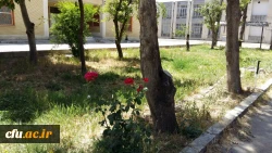 بازدید گروه برنامه ریزی و اموردانشجویی و تغذیه دانشجویی به مناسبت هفته خوابگاه ها 2