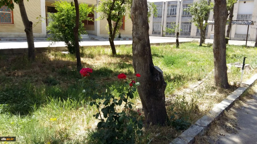 بازدید گروه برنامه ریزی و اموردانشجویی و تغذیه دانشجویی به مناسبت هفته خوابگاه ها 2