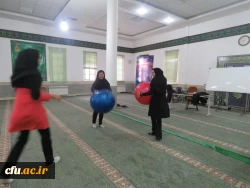 جشنواره استانی ورزش های همگانی و بازی های بومی و محلی در استان یزد  برگزار شد 3