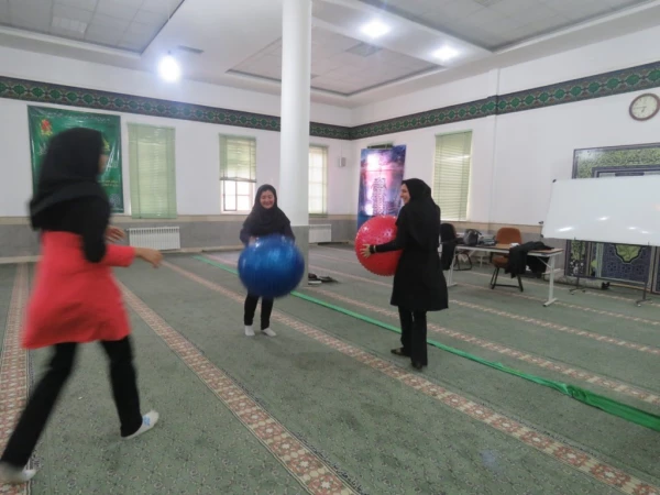 جشنواره استانی ورزش های همگانی و بازی های بومی و محلی در استان یزد  برگزار شد 3