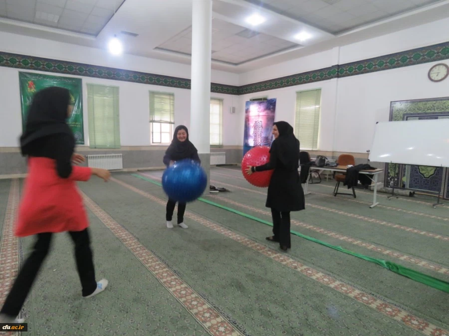 جشنواره استانی ورزش های همگانی و بازی های بومی و محلی در استان یزد  برگزار شد 3