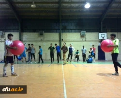 جشنواره استانی ورزش های همگانی و بازی های بومی و محلی در استان کرمان برگزار شد 2