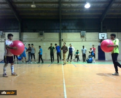 جشنواره استانی ورزش های همگانی و بازی های بومی و محلی در استان کرمان برگزار شد