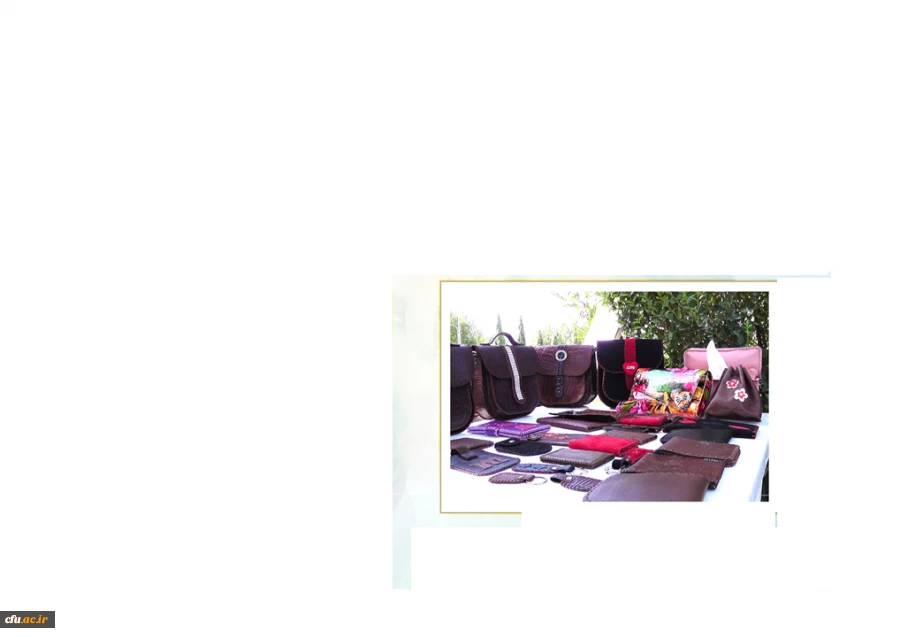 گزارش تصویری برگزاری هفته ی خوابگاه ها منتشر شد 15