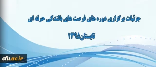 دکتر کیانی خبر داد:

برگزاری فرصت های بالندگی حرفه ای ویژه تابستان 1395