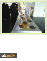 گزارش تصویری برگزاری هفته ی خوابگاه ها منتشر شد 9