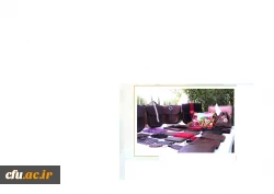 گزارش تصویری برگزاری هفته ی خوابگاه ها منتشر شد 17