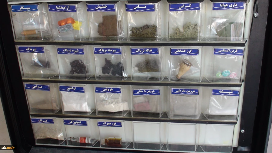 برگزاری مراسم افتتاحیه دوره ارتقاء نقش فرهنگی و تربیتی مهارت آموزان ماده 28 2