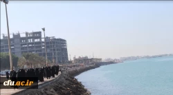 برنامه گرامیداشت هفته تربیت بدنی استان بوشهر برگزار شد 5