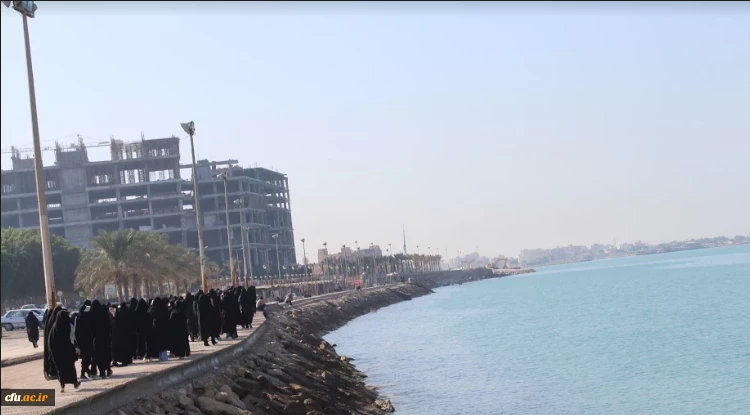 برنامه گرامیداشت هفته تربیت بدنی استان بوشهر برگزار شد 5