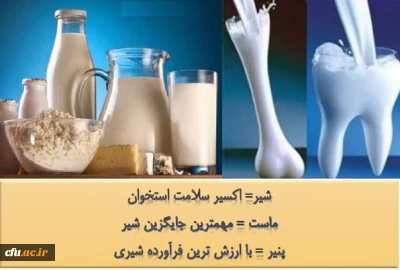 سلامت استخوان