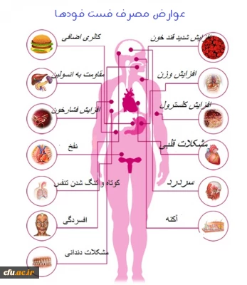 عوارض مصرف فست فودها