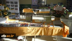 197680_3255788898_1280_721