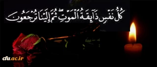 بازگشت همه بسوی اوست

کل من علیها فان و یبقی وجه ربک ذو الجلال و الاکرام