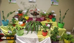 افتتاح مجموعه گیاه شناسی پردیس بنت الهدی صدر  اردبیل 2