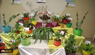 افتتاح مجموعه گیاه شناسی پردیس بنت الهدی صدر  اردبیل