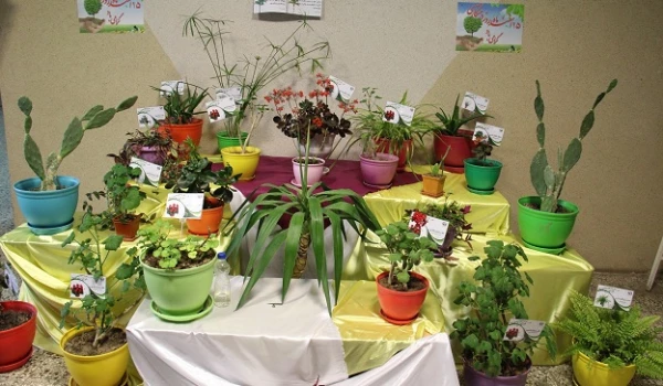 افتتاح مجموعه گیاه شناسی پردیس بنت الهدی صدر  اردبیل 2