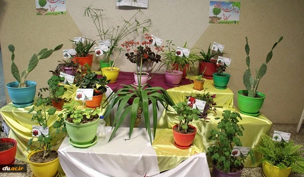 افتتاح مجموعه گیاه شناسی پردیس بنت الهدی صدر  اردبیل 2