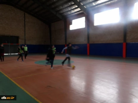 مسابقات گرامیداشت دهه مبارک فجر استان قزوین 6