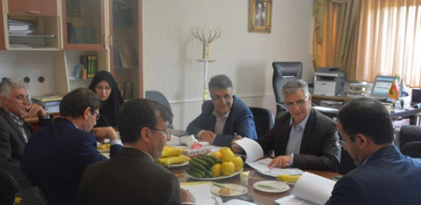 جلسه مدیران استانی  دانشگاه فرهنگیان منطقه یک کشوری برگزار شد 4