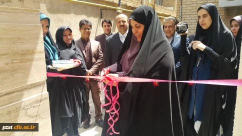 221159_1441025422_484_272