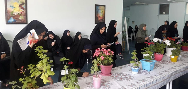 برگزاری جشنواره پخت و پز و کاشت شمعدانی در پردیس فاطمه الزهرا (س) تبریز 4