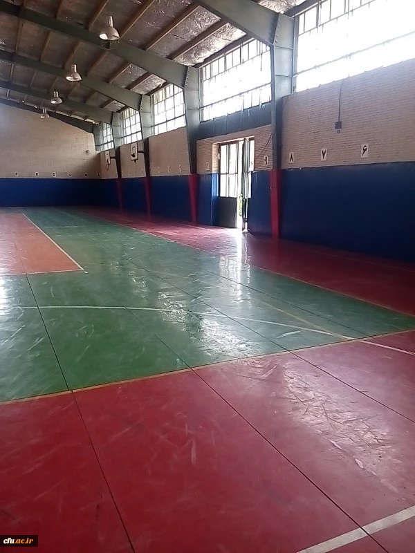 سالن ورزشی امام علی(ع) پردیس خواجه نصیر طوسی استان کرمان ایمن سازی شد 3