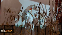 اختتامیه جشنواره نمایش عروسکی دانشجویی پردیس علامه طباطبائی ارومیه  7