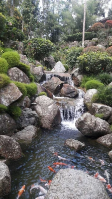 دانشجومعلمان دانشگاه فرهنگیان و کسب تجربه های جدید:

یادداشت های روزانه دانشجو معلمان از سفر به مالزی(یادداشت پنجم) 2