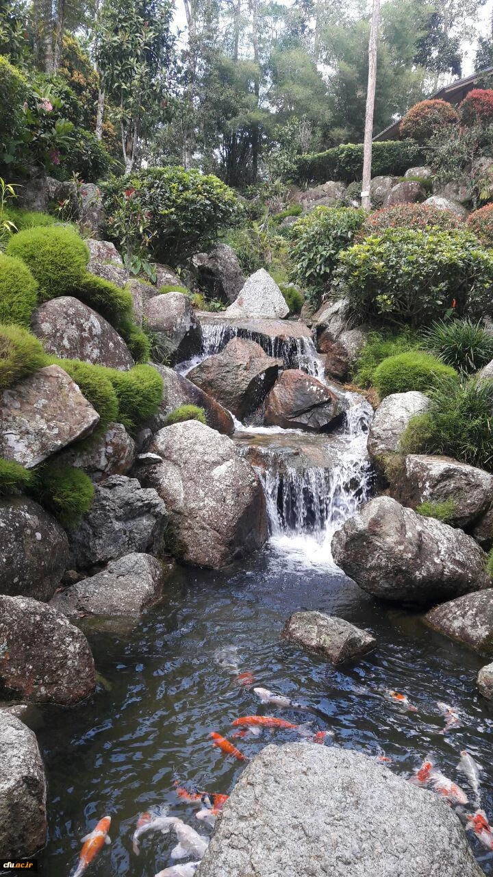 دانشجومعلمان دانشگاه فرهنگیان و کسب تجربه های جدید:

یادداشت های روزانه دانشجو معلمان از سفر به مالزی(یادداشت پنجم) 2